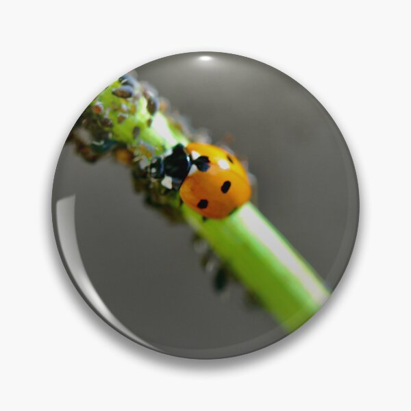 Item preview, Colony of Aphids with Ants and Ladybirds on Lovage designed and sold by Kate Anderson Art.