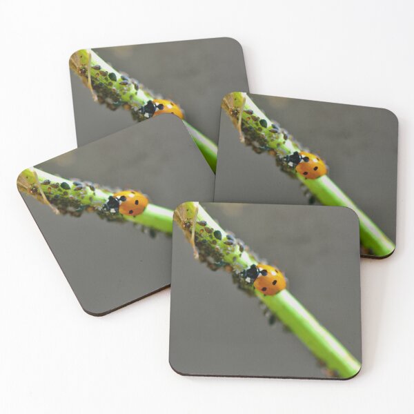 Item preview, Colony of Aphids with Ants and Ladybirds on Lovage designed and sold by Kate Anderson Art.