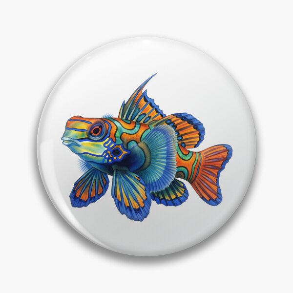 Item preview, Mandarinfish designed and sold by 4rtistcDrift.
