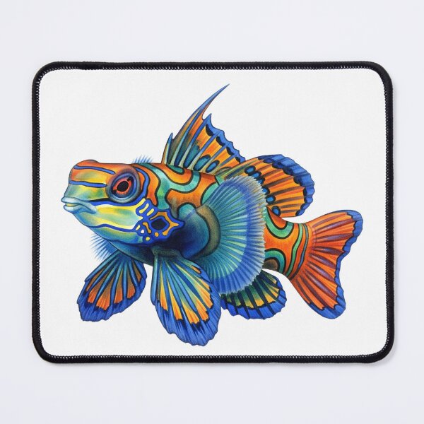 Item preview, Mandarinfish designed and sold by 4rtistcDrift.