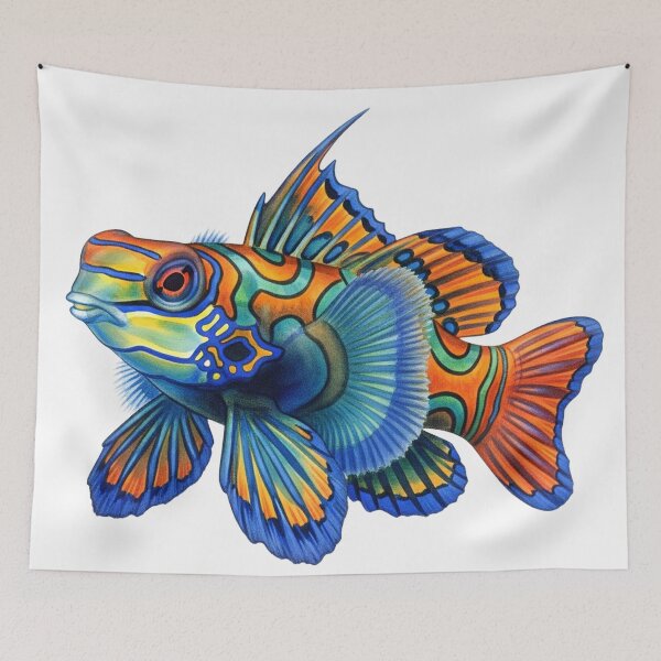 Item preview, Mandarinfish designed and sold by 4rtistcDrift.