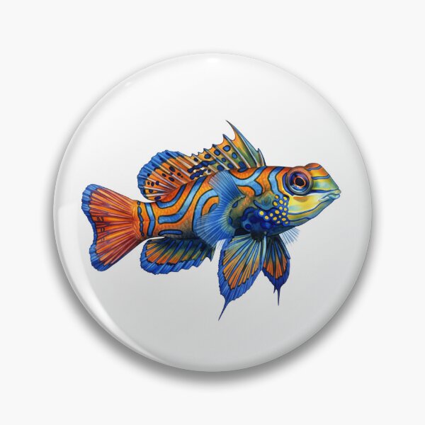 Item preview, Mandarinfish  designed and sold by 4rtistcDrift.