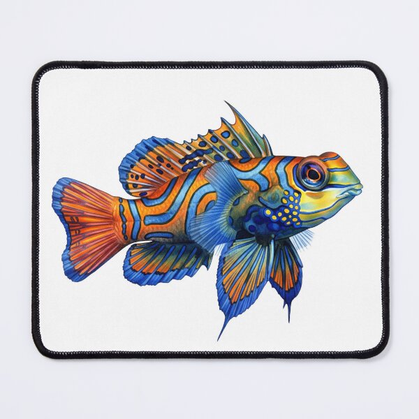 Item preview, Mandarinfish  designed and sold by 4rtistcDrift.
