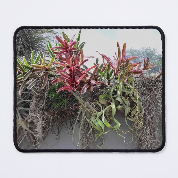 Item preview, Art in growth designed and sold by RosJoy.
