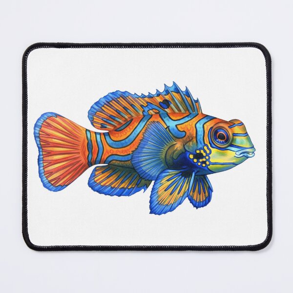 Item preview, Mandarinfish designed and sold by 4rtistcDrift.