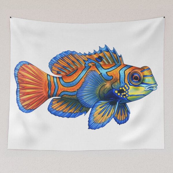 Item preview, Mandarinfish  designed and sold by 4rtistcDrift.