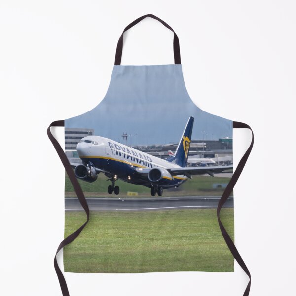 Item preview, MAN to DUB Ryanair Boeing 737-8AS EI-DHR designed and sold by Skyframe Aviation.