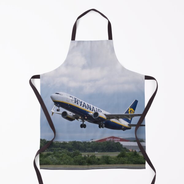 Item preview, MAN to DUB Ryanair Boeing 737-8AS EI-DHR designed and sold by Skyframe Aviation.
