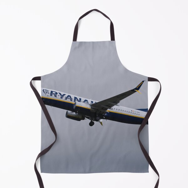 Item preview, MAN to DUB Ryanair Boeing 737-8AS EI-DHR designed and sold by Skyframe Aviation.