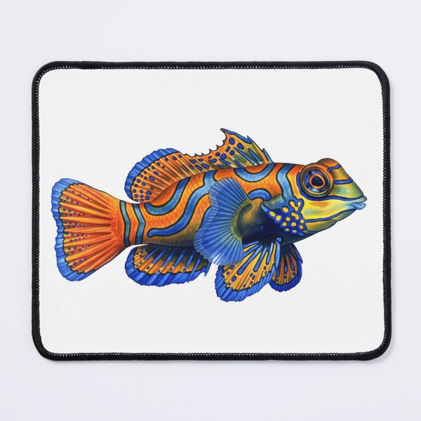 Item preview, Mandarinfish designed and sold by 4rtistcDrift.