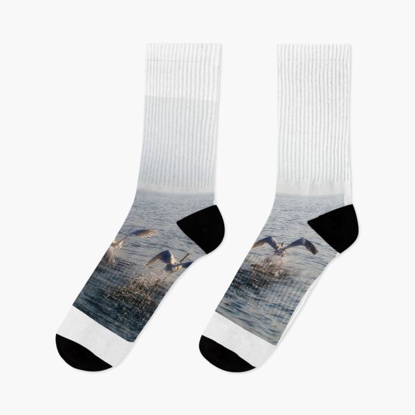 Item preview, Five Swans Take Off From the Water Surface in Sunset designed and sold by Mats Silvan.