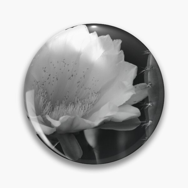 Item preview, Cereus Jamacaru Bloom Black And White designed and sold by MercerImages.