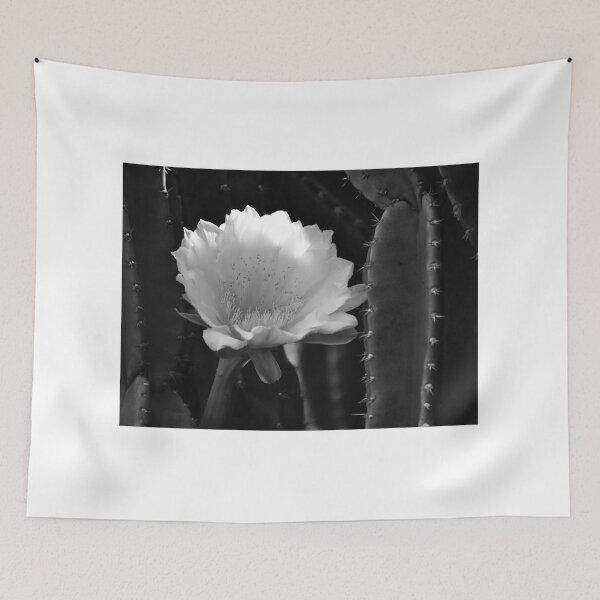 Item preview, Cereus Jamacaru Bloom Black And White designed and sold by MercerImages.