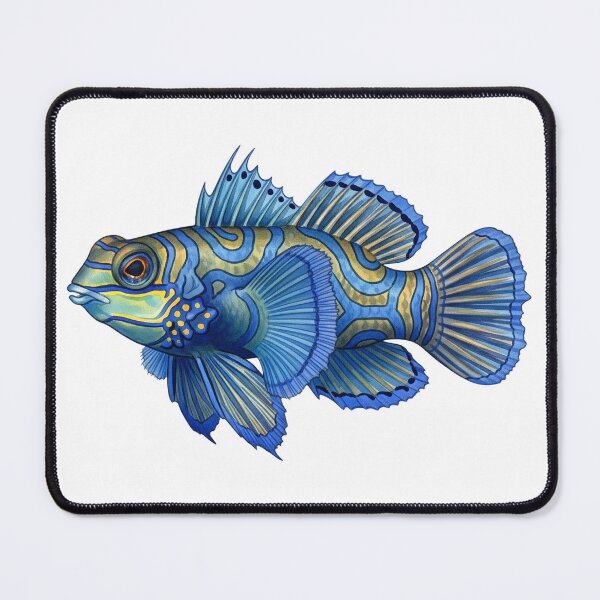 Item preview, Watercolor Mandarinfish designed and sold by 4rtistcDrift.