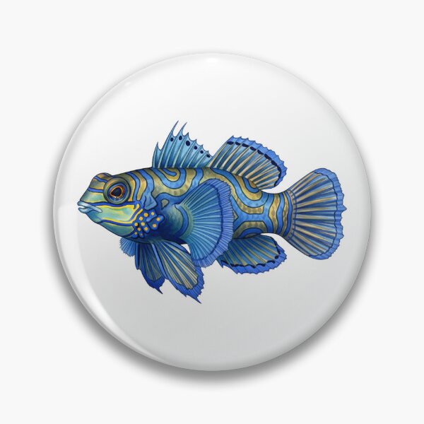 Item preview, Watercolor Mandarinfish designed and sold by 4rtistcDrift.
