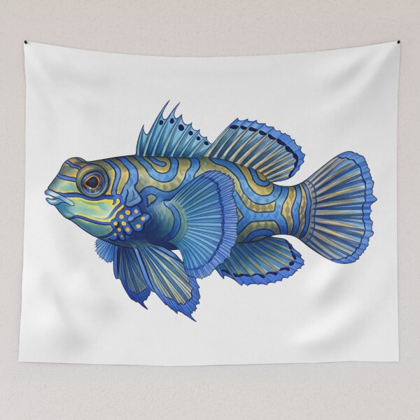 Item preview, Watercolor Mandarinfish designed and sold by 4rtistcDrift.