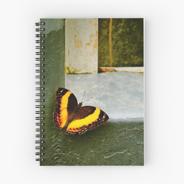 Item preview, Cornered designed and sold by Karen E Camilleri.