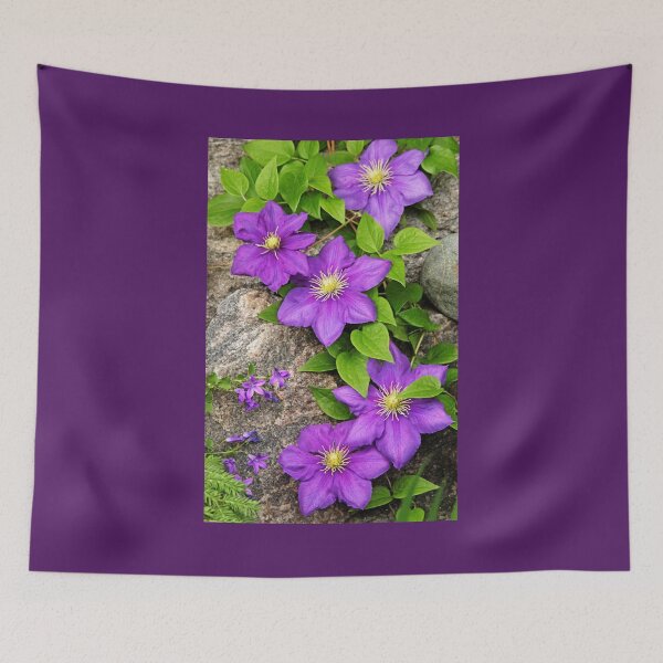 Item preview, Purple Clematis On Rock designed and sold by Debbie Oppermann.