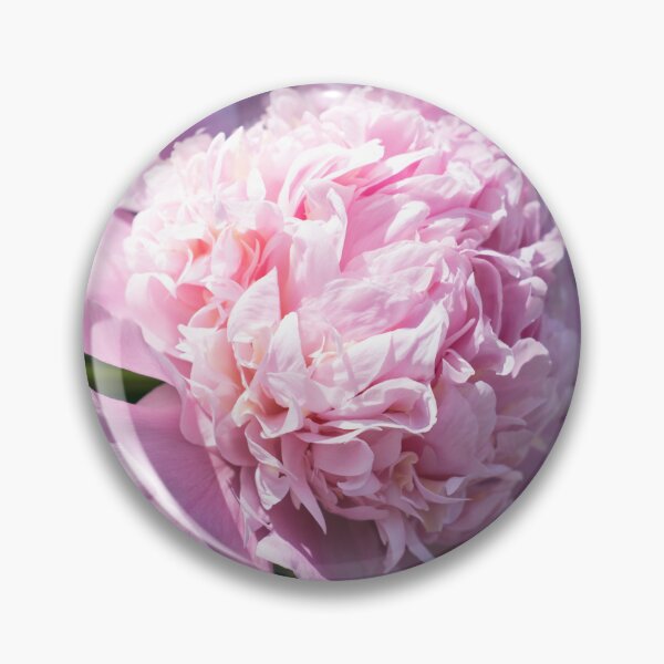 Item preview, One Splendid Peony Bloom in Soft Baby Pink designed and sold by Georgia Mizuleva.