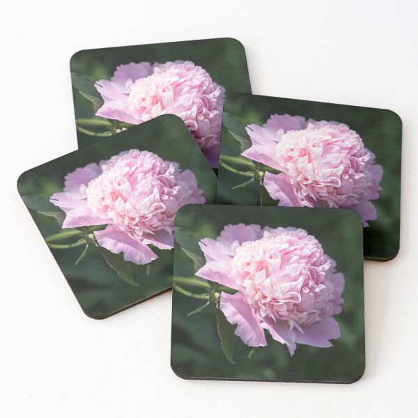 Item preview, One Splendid Peony Bloom in Soft Baby Pink designed and sold by Georgia Mizuleva.