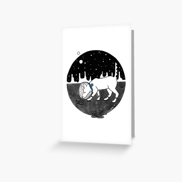 ASTROViV Discovery Greeting Card