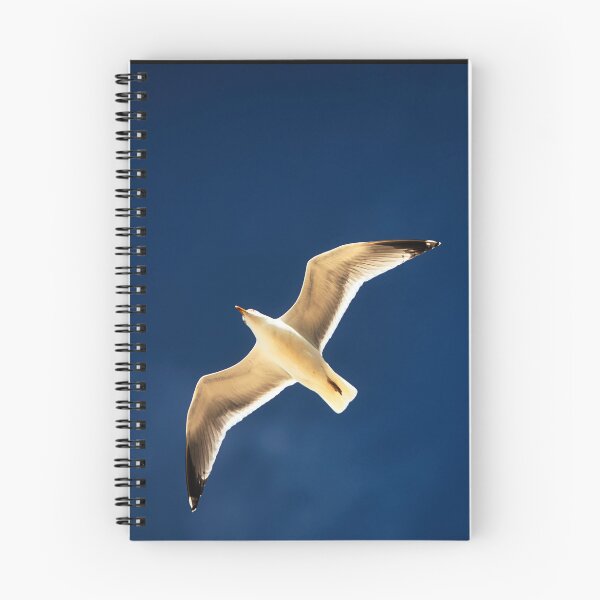 Item preview, Seagull in the sky designed and sold by Ruhrpottpicture.