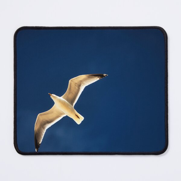Item preview, Seagull in the sky designed and sold by Ruhrpottpicture.