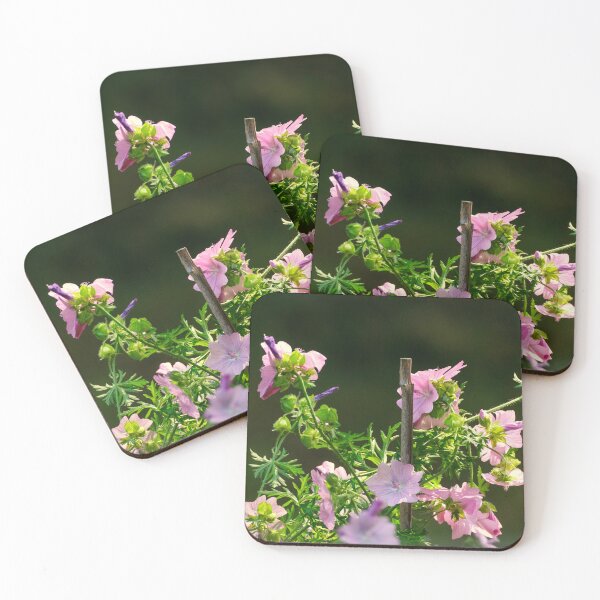 Item preview, Malva flowers designed and sold by Photopat.