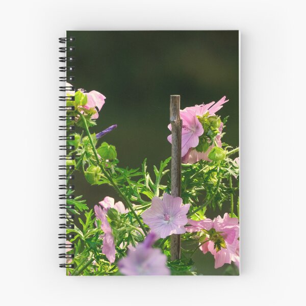 Item preview, Malva flowers designed and sold by Photopat.
