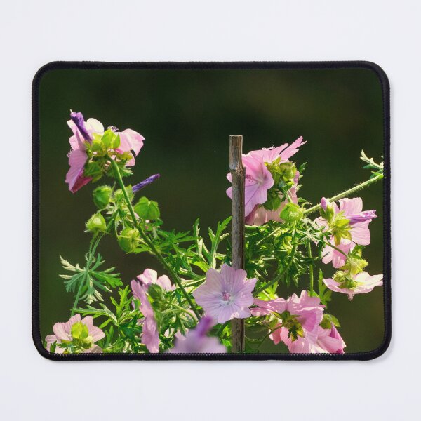 Item preview, Malva flowers designed and sold by Photopat.