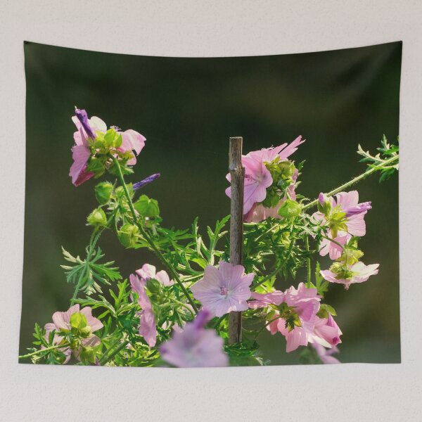 Item preview, Malva flowers designed and sold by Photopat.