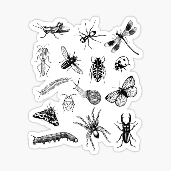 Item preview, Bugs Life Insect Pattern  designed and sold by SharkaSplat.