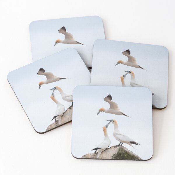 Item preview, Gannet Ballet designed and sold by AndrewJonesFoto.