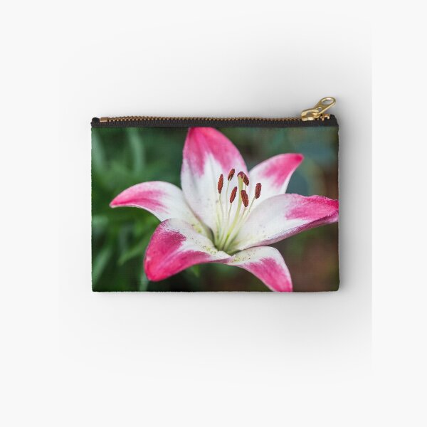 Item preview, Pretty Asiatic Lily Called Lollypop  designed and sold by LINDA MCKUSICK.