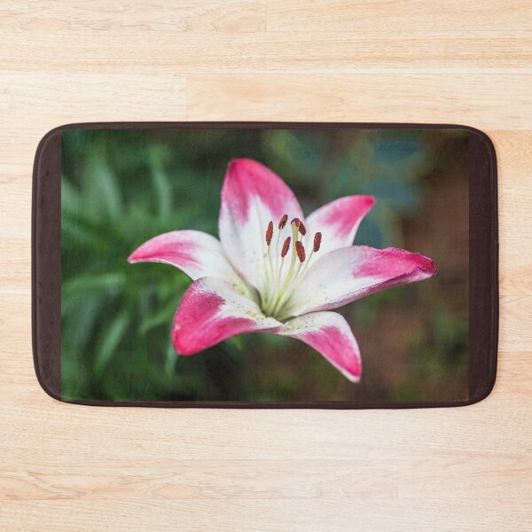 Item preview, Pretty Asiatic Lily Called Lollypop  designed and sold by LINDA MCKUSICK.