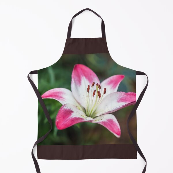 Item preview, Pretty Asiatic Lily Called Lollypop  designed and sold by LINDA MCKUSICK.