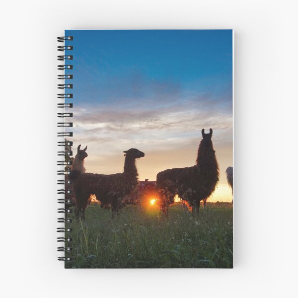 Item preview, Llamas at sunset designed and sold by colorfulbundles.