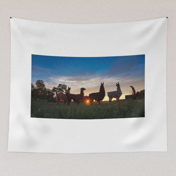 Item preview, Llamas at sunset designed and sold by colorfulbundles.
