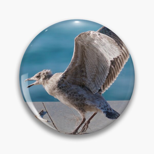 Item preview, Herring Gull Chick Preparing to Fledge designed and sold by Dorset Girl.