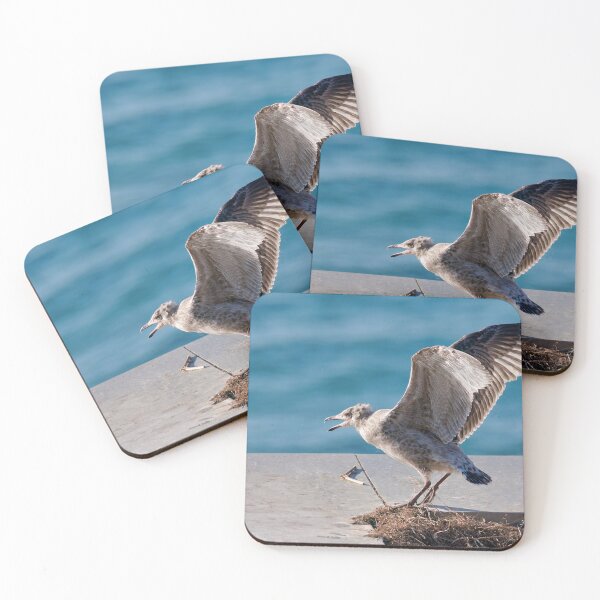 Item preview, Herring Gull Chick Preparing to Fledge designed and sold by Dorset Girl.