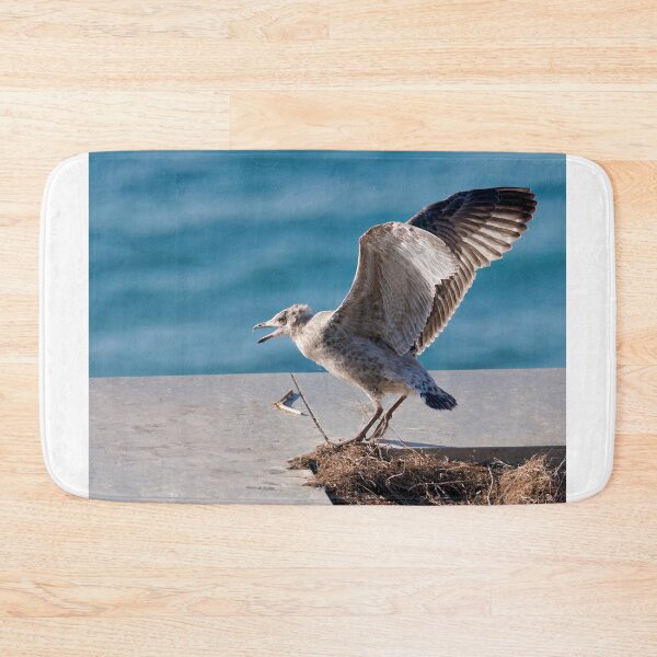 Item preview, Herring Gull Chick Preparing to Fledge designed and sold by Dorset Girl.