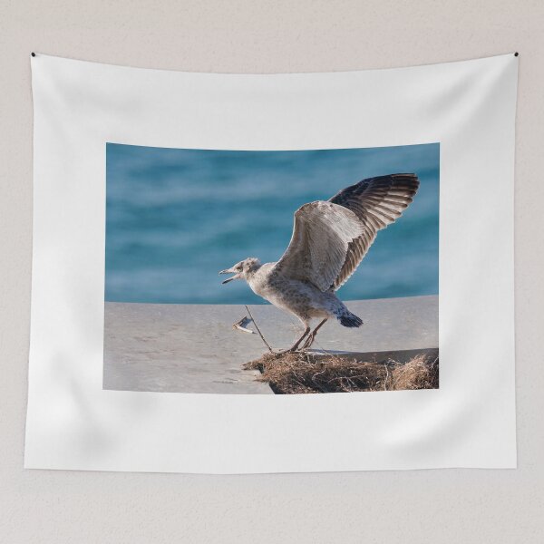 Item preview, Herring Gull Chick Preparing to Fledge designed and sold by Dorset Girl.