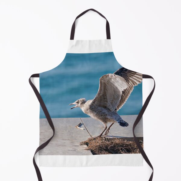 Item preview, Herring Gull Chick Preparing to Fledge designed and sold by Dorset Girl.