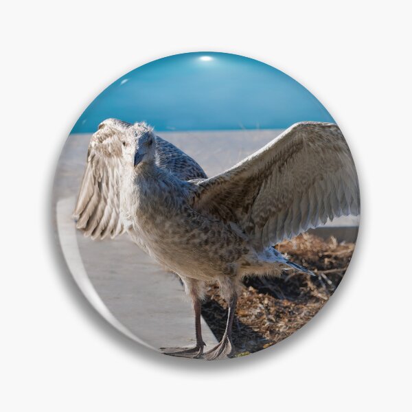 Item preview, Herring Gull Chick Preparing to Fledge designed and sold by Dorset Girl.