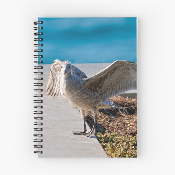 Item preview, Herring Gull Chick Preparing to Fledge designed and sold by Dorset Girl.