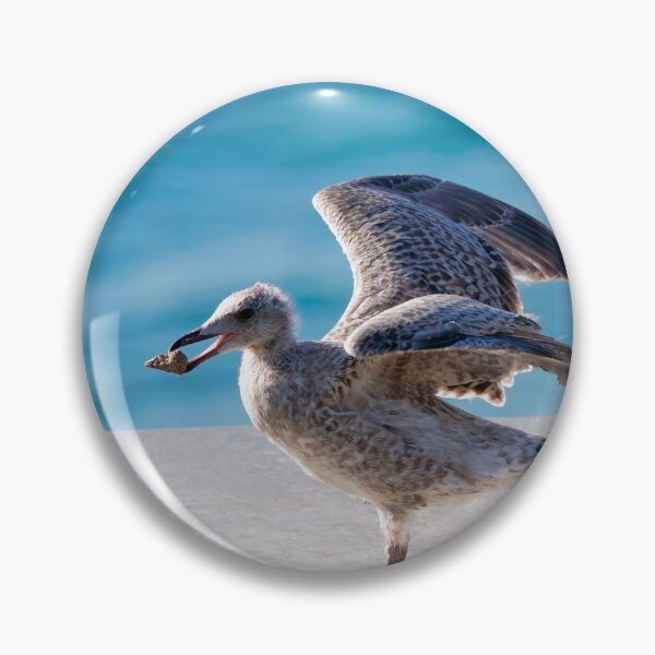 Item preview, Herring Gull Chick Preparing to Fledge designed and sold by Dorset Girl.