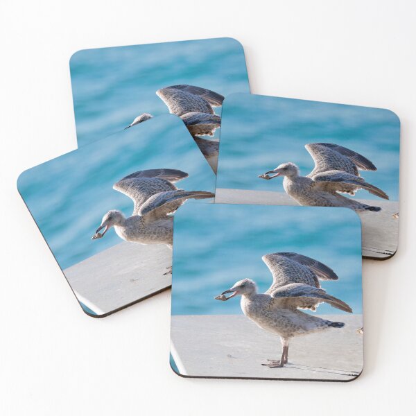 Item preview, Herring Gull Chick Preparing to Fledge designed and sold by Dorset Girl.