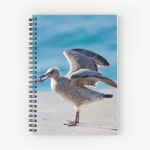 Item preview, Herring Gull Chick Preparing to Fledge designed and sold by Dorset Girl.