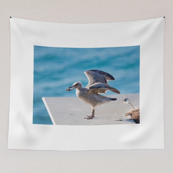 Item preview, Herring Gull Chick Preparing to Fledge designed and sold by Dorset Girl.