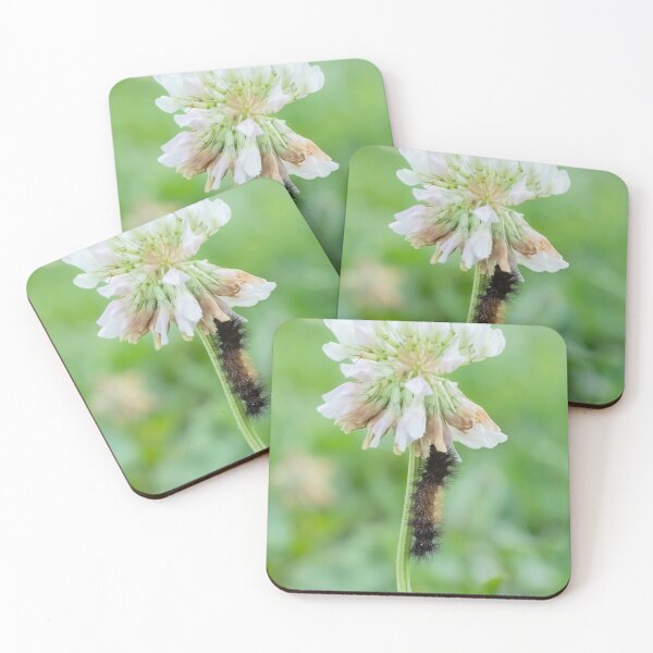 Item preview, Fuzzy caterpillar on white clover flower designed and sold by KRFNatureGifts.